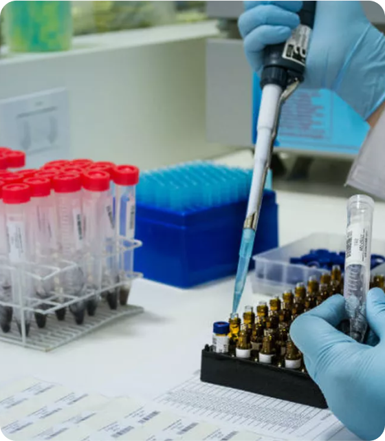 Exame toxicológico